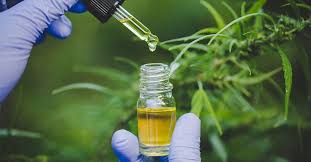 Top CBD Products to Boost Your Wellness Routine